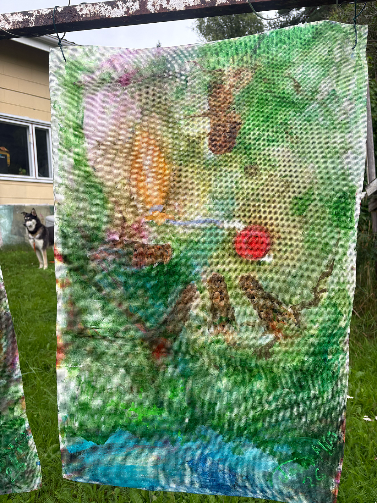 Outdoor2